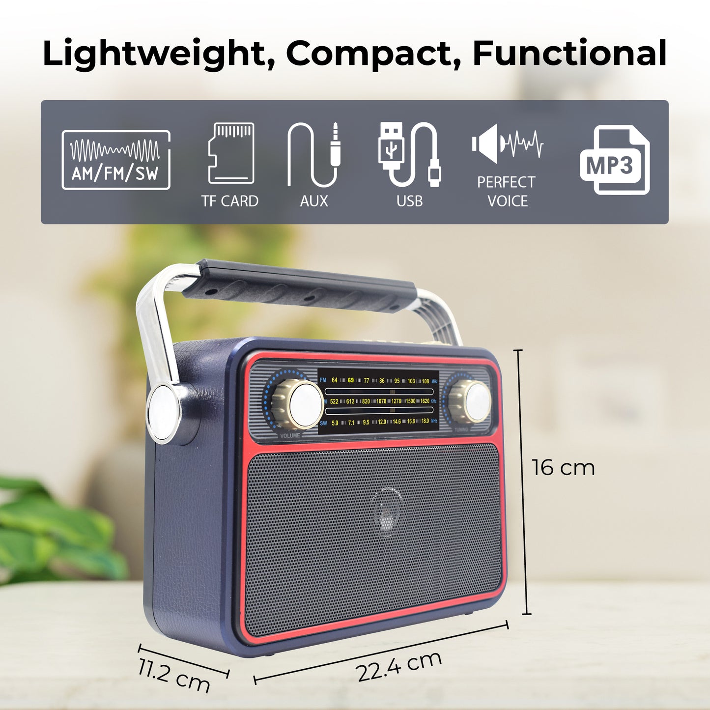 RADIO FM PORTABLE WITH USB SD AUX - Miruhome